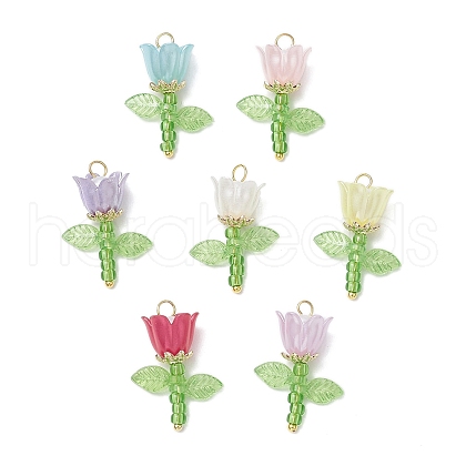 Acrylic Beads & Plastic Imitation Pearl Beads & Japanese Seed Beads Pendants PALLOY-JF03826-02-1