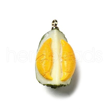 Brass Acrylic Pendants OACR-R006-03G-01-1