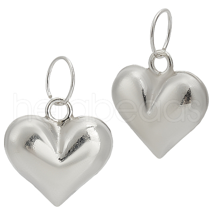 GOMAKERER 2Ps 925 Sterling Silver Charms STER-GO0001-51-1