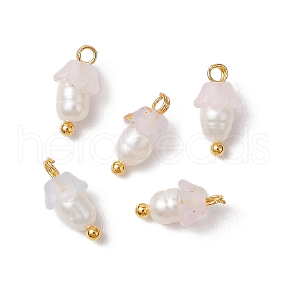 Flower Acrylic Charms PALLOY-JF03588-03-1