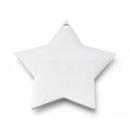 Tarnish Resistant 304 Stainless Steel Pendants STAS-L238-108B-P-1