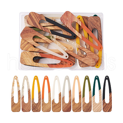 Beadthoven 20Pcs 10 Colors Resin & Walnut Wood Big Pendants RESI-BT0001-09-1