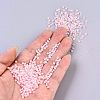 (Repacking Service Available) 8/0 Glass Seed Beads SEED-C026-3mm-2221-4