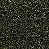 TOHO Round Seed Beads SEED-TR11-0037-2