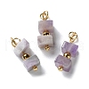 Natural Amethyst Cuboid Beaded Pendants STAS-C120-02G-02-1