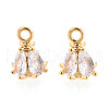 Brass Micro Pave Cubic Zirconia Charms KK-N263-72B-G-1