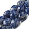 Natural Blue Spot Jasper Beads Strands G-M420-D08-01-1