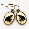 Alloy Acrylic Dangle Earrings FS-WGA17FA-01-3