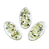 Transparent Acrylic Cabochons TACR-N006-66B-1