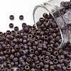TOHO Round Seed Beads SEED-XTR08-0406F-1