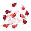 15Pcs 3 Colors Resin Pendants RESI-CJ0001-129-4