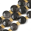 Natural Silver Sheen Obsidian Beads Strands G-G271-C08-10mm-2