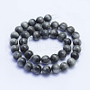 Natural Hawk's Eye Beads Strands G-L478-04-10mm-3