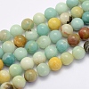 Natural Flower Amazonite Beads Strands X-G-G697-F06-8mm-1