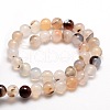 Natural Dendritic Agate Round Beads Strands G-E321C-16mm-01-2