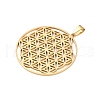 304 Stainless Steel Pendants STAS-P209-18-2