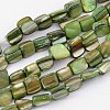 Erose Shell Beads Strands PBB068Y-1
