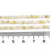Natural Trochus Shell Beads Strands BSHE-H109-12A-5