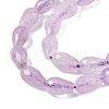 Natural Amethyst Beads Strands G-F790-E01-01-4