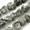 Raw Rough Natural Green Spot Jasper Beads Strands G-Z087-B16-2