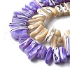 Dyed Natural Trochus Shell Beads Strands SSHEL-C013-09-3