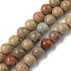 Natural Aqua Terra Jasper Beads Strands G-E444-14B-6mm-1