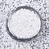 Glass Seed Beads X-SEED-S042-03B-03-2