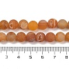 Natural Druzy Agate Beads Strands G-NH0024-A07-8mm-5