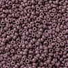 MIYUKI Round Rocailles Beads X-SEED-G009-RR2034-3