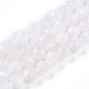 Natural Rainbow Moonstone Beads Strands G-S345-8mm-36-2