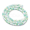 Pearlized Handmade Lampwork Beads Strands LAMP-R020-04H-2
