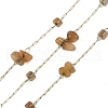 Ion Plating(IP) 316 Surgical Stainless Steel Chains AJEW-Q153-01L-1