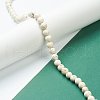Nrtutal Magnesite Beads Strands G-L575-01C-4