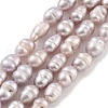 Natural Cultured Freshwater Pearl Beads Strands PEAR-P062-01C-2