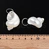 Natural Spiral Shell Pendants X-SHEL-N036-11-3