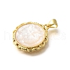 Brass Pave Natural White Shell Carved Cat endants KK-Z091-08G-03-2