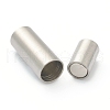 Tarnish Resistant 304 Stainless Steel Magnetic Clasps with Glue-in Ends STAS-B017-01C-P-2