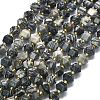 Natural Black Netstone Beads Strands G-I376-A69-01-2