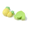 Opaque Resin Decoden Cabochons RESI-K038-05-2