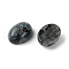 Natural Larvikite Cabochons G-A094-01B-07-2