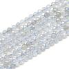 Natural Labradorite Beads Strands G-S152-09-2mm-1
