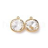 Ion Plating(IP) 304 Stainless Steel Rhinestone Pendants STAS-B090-01G-05-1