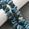 Natural Apatite Beads Strands G-I283-F23-1