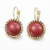 (Jewelry Parties Factory Sale)Iron Leverback Earrings EJEW-H336-01G-1