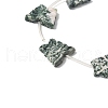 Natural Green Spot Jasper Beads Strands G-B136-A09-3