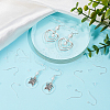 Beebeecraft 10 Pairs 925 Sterling Silver Earring Hooks STER-BBC0006-80-4