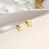 304 Stainless Steel Stud Earrings for Women DL2638-1-1