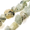 Natural Prehnite Beads Strands G-S386-C04-2