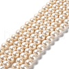 Shell Pearl Bead Strands BSHE-L025-08-6mm-01-1