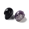 Natural Gemstone Carved Skull Statues Ornament G-P525-08-2